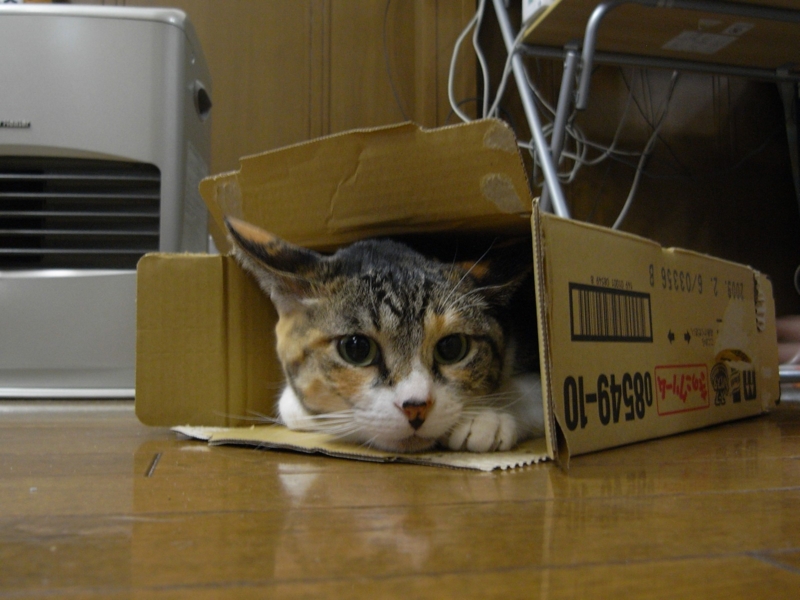 20090826000030.jpg