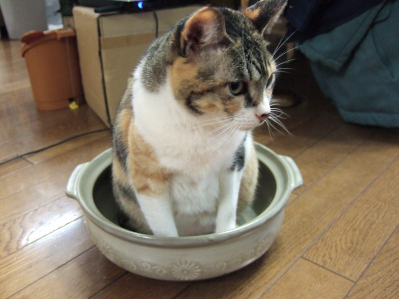 20090829000211.jpg
