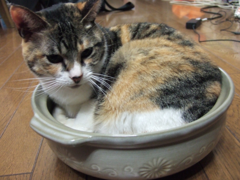 20090829000213.jpg