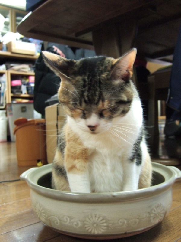 20090829000214.jpg