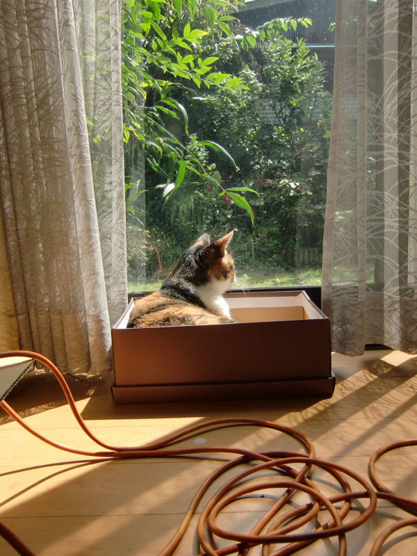 20090913113127.jpg