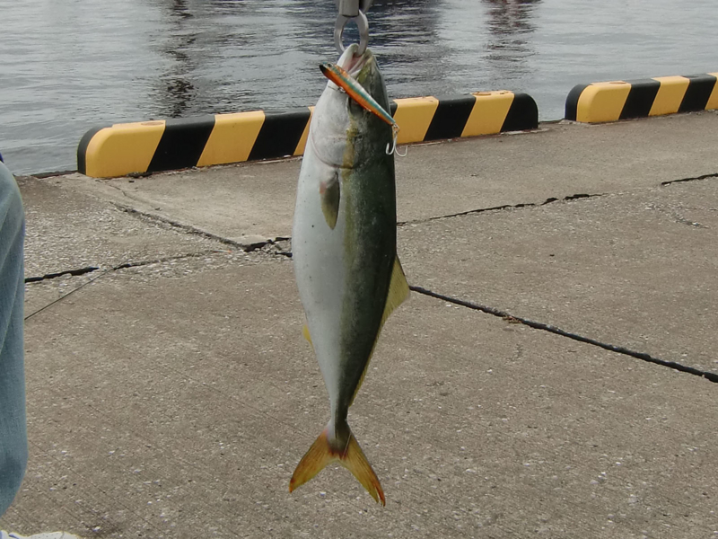 20090921124431.jpg