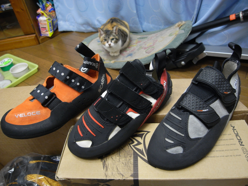 20101201220921.jpg