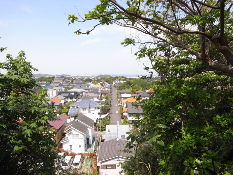 20110508133349.jpg