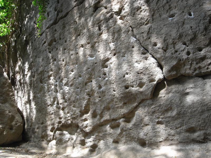 20110508133707.jpg