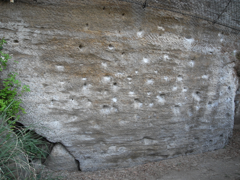 20110508164712.jpg