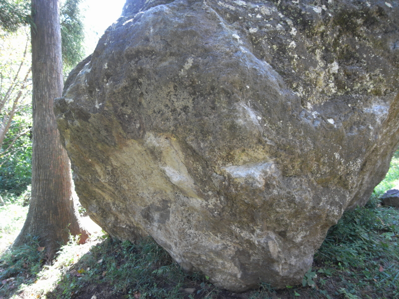 20110928220617.jpg