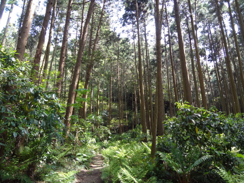 20120430225331.jpg