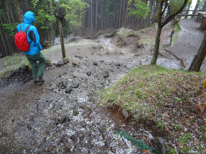 20120514005431.jpg